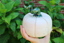 Load image into Gallery viewer, Pumpkin
