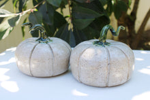 Load image into Gallery viewer, Pumpkin

