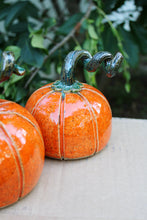 Load image into Gallery viewer, Pumpkin
