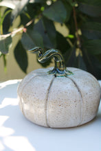 Load image into Gallery viewer, Pumpkin
