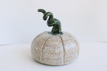 Load image into Gallery viewer, Pumpkin
