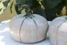 Load image into Gallery viewer, Pumpkin
