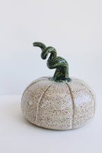 Load image into Gallery viewer, Pumpkin
